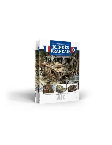 FRENCH ARMOR (FR) - AK Interactive AK130028