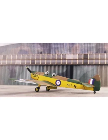 DH.94 Moth Minor 'Under the Southern Cross', 1/72 - Special Hobby 1...