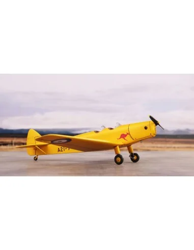 [NO_DESC] DH.94 Moth Minor 'Under the Southern Cross', 1/72 - Speci...
