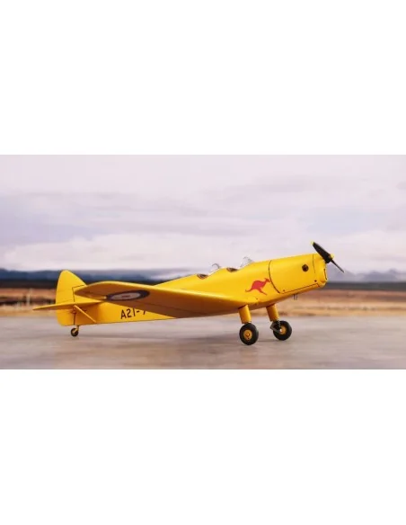 DH.94 Moth Minor 'Under the Southern Cross', 1/72 - Special Hobby 1...
