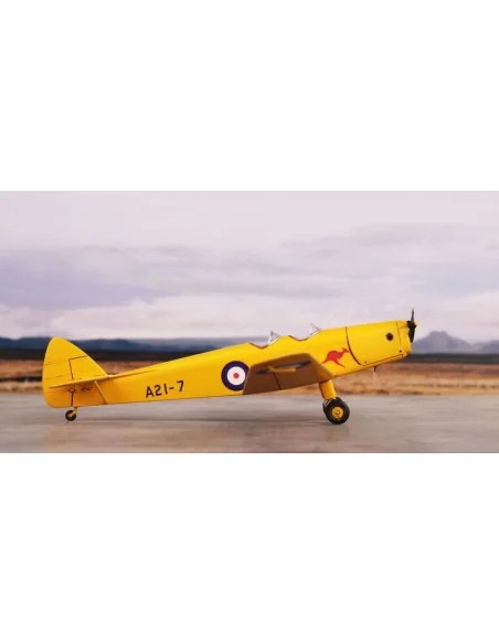 DH.94 Moth Minor 'Under the Southern Cross', 1/72 - Special Hobby 1...