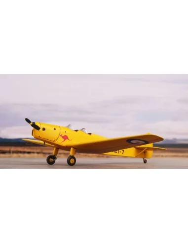 [NO_DESC] DH.94 Moth Minor 'Under the Southern Cross', 1/72 - Speci...