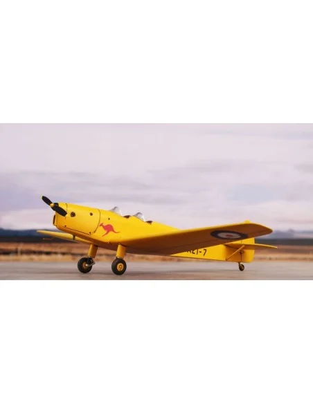 [NO_DESC] DH.94 Moth Minor 'Under the Southern Cross', 1/72 - Speci...