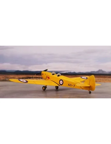 DH.94 Moth Minor 'Under the Southern Cross', 1/72 - Special Hobby 1...