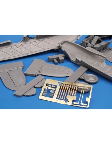 Renard R.31 'Belgian Recconaissance Plane', 1/48 - Planet Models 12...