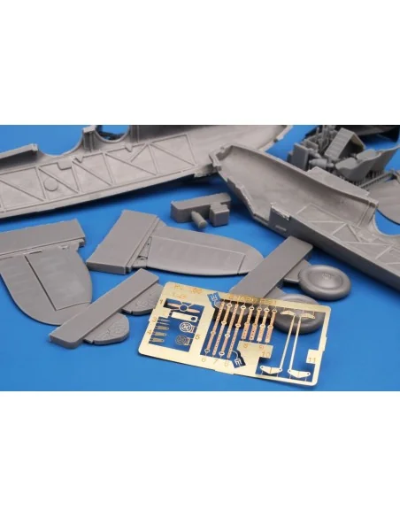 [NO_DESC] Renard R.31 'Belgian Recconaissance Plane', 1/48 - Planet...