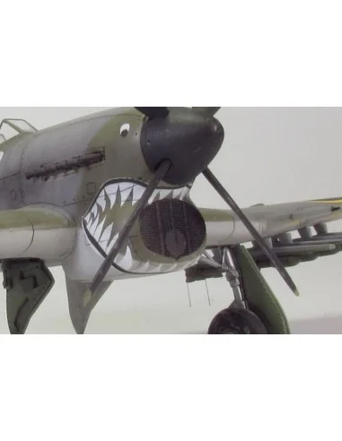 [NO_DESC] Air intake mesh for Typhoon, 1/48 - Brengun BRL48049
