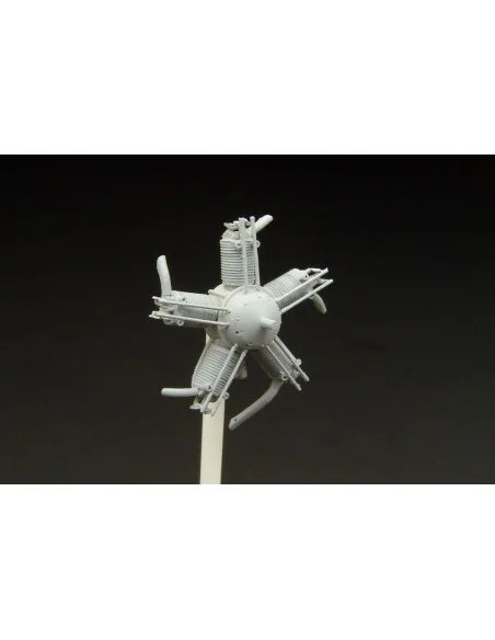 Walter NZ-60 engine (for Avia BH 11 - SM?R kit), 1/48 - Brengun BRL...