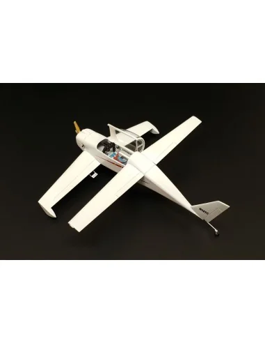 Rutan Quickie, 1/48 - Brengun BRS48012