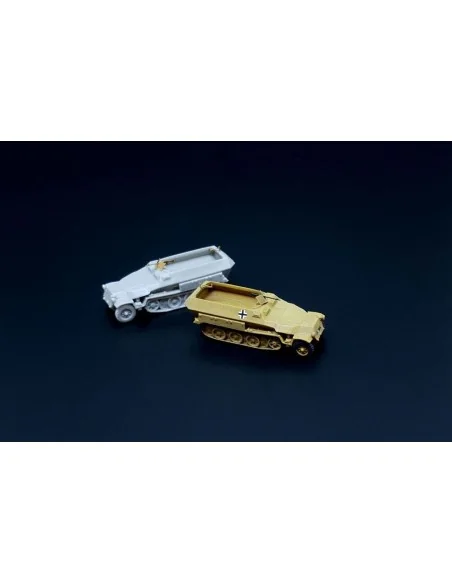 Sd.Kfz. 251D 2pcs, 1/160 - Hauler HNN16008