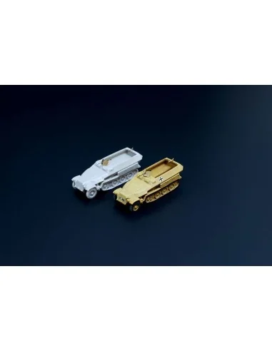 Sd.Kfz. 251D 2pcs, 1/160 - Hauler HNN16008