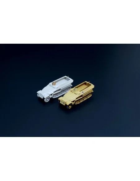 Sd.Kfz. 251D 2pcs, 1/160 - Hauler HNN16008
