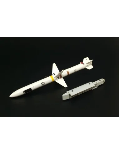 AGM-45 Shrike, 1/48 - Brengun BRL48152