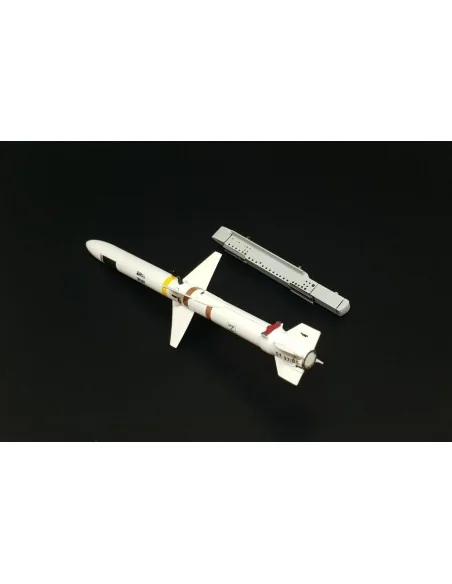 [NO_DESC] AGM-45 Shrike, 1/48 - Brengun BRL48152