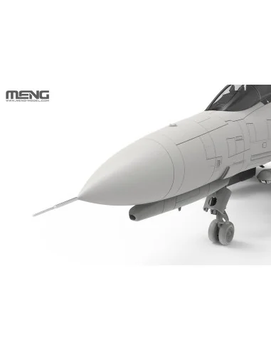 McDonnell Douglas F-4E/2020 Terminator (Turkish Air Force), 1/48 - ...
