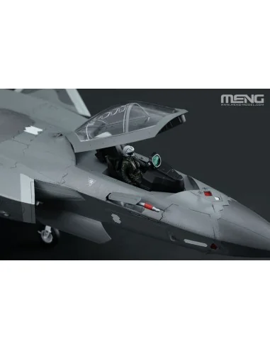 Chinese J-20 Stealth Fighter Beast Mode, 1/48 - MENG-Model LS-002s
