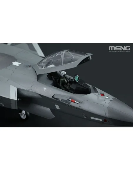 Chinese J-20 Stealth Fighter Beast Mode, 1/48 - MENG-Model LS-002s