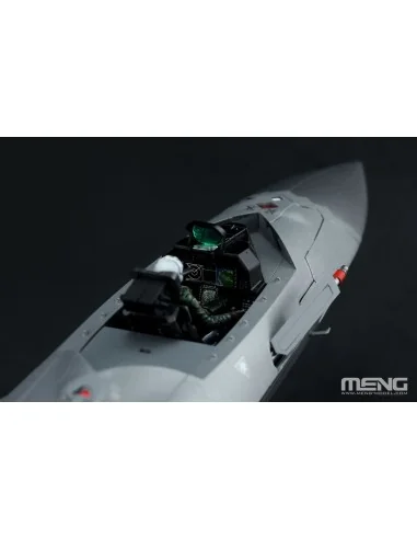 Chinese J-20 Stealth Fighter Beast Mode, 1/48 - MENG-Model LS-002s