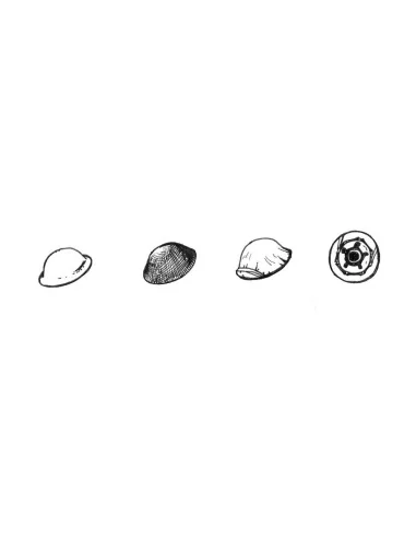 [NO_DESC] British WWII Desert Rats Helmets (6pcs), 1/35 - CMK 129-B...