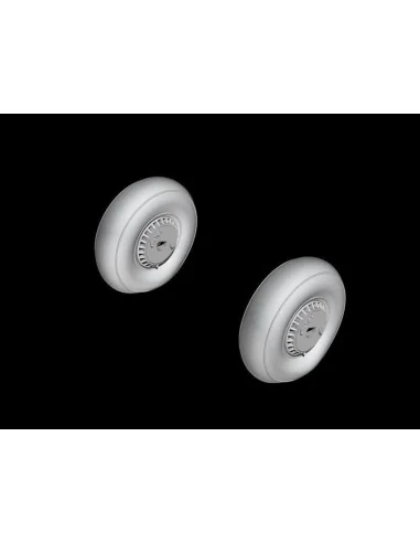 [NO_DESC] Reggiane Re 2005 Main Wheels, 1/48 - CMK 129-Q48364