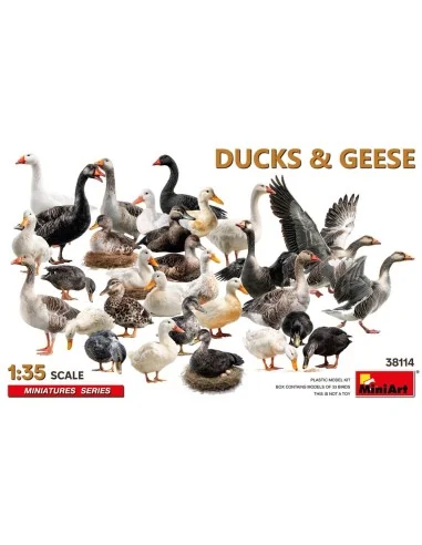 Ducks & Geese, 1/35 - MiniArt 38114