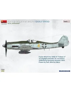 Focke-Wulf Fw 190D-9 Early Prod. JG 54 Grünherz Basic Kit., 1/48 - ... 2