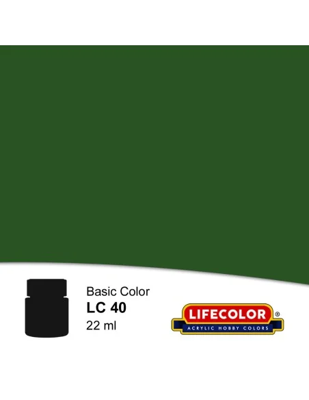 [NO_DESC] Dragon Green 22 ml - Lifecolor NLC40