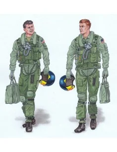 Crew F-14 Tomcat, 1/32 - Plus model AL3005