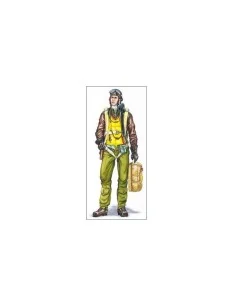 Pilot P-47, 1/48 - Plus model AL4036