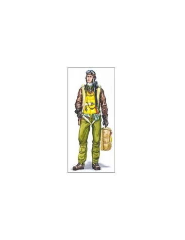 [NO_DESC] Pilot P-47, 1/48 - Plus model AL4036