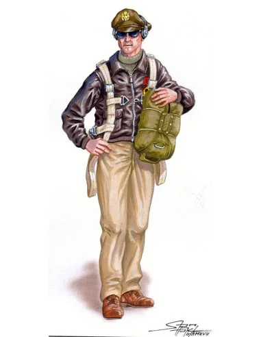 Pilot P-51, 1/48 - Plus model AL4072