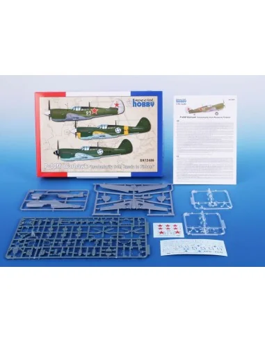 P-40M Warhawk ‘Involuntarily from Russia to Finland’, 1/72 - Specia...