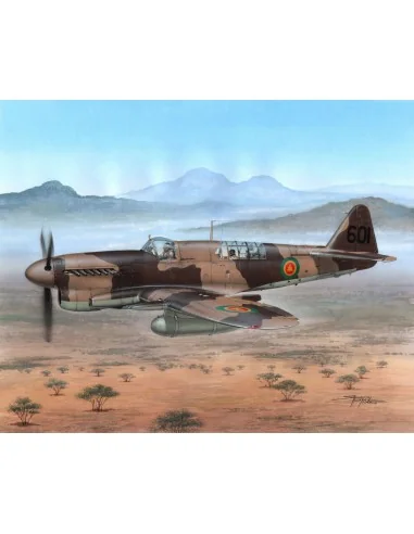 Fairey Firefly FR Mk.I Foregin Post War, 1/48 - Special Hobby 100-S...