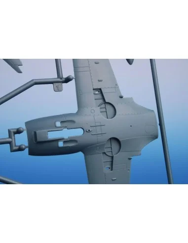 SIAI-Marchetti SF.260AM/M/W, 1/48 - Special Hobby 100-SH48207