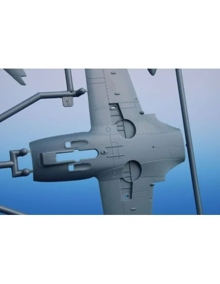 [NO_DESC] SIAI-Marchetti SF.260AM/M/W, 1/48 - Special Hobby 100-SH4...