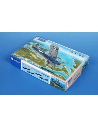 L-4/NE-1 Grasshopper ‘Pacific Warriors’, 1/48 - Special Hobby 100-S...