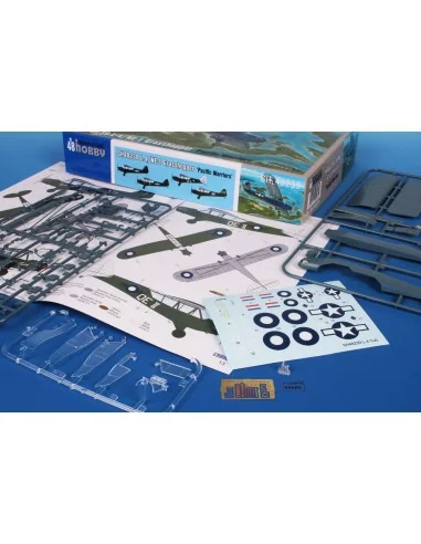 L-4/NE-1 Grasshopper ‘Pacific Warriors’, 1/48 - Special Hobby 100-S...