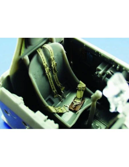 P-47D Razorback, 1/48 - Eduard Accessories FE226