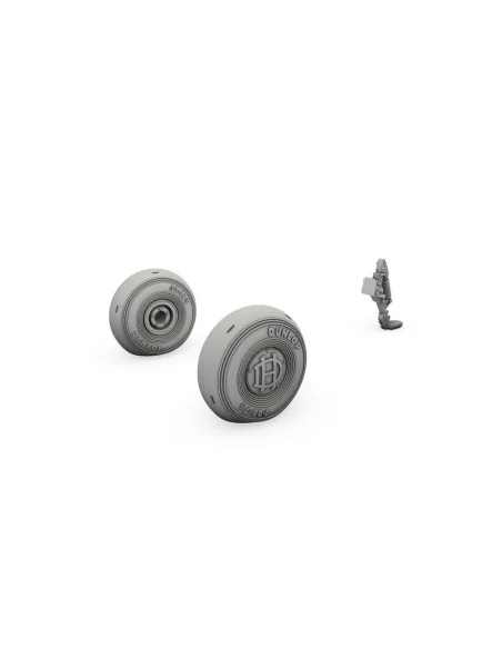 [NO_DESC] DH.82 Tiger Moth Mainwheels and Tailskid, 1/48 - CMK 129-...