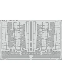 FM-1, 1/48 - Eduard Accessories BIG49416 2