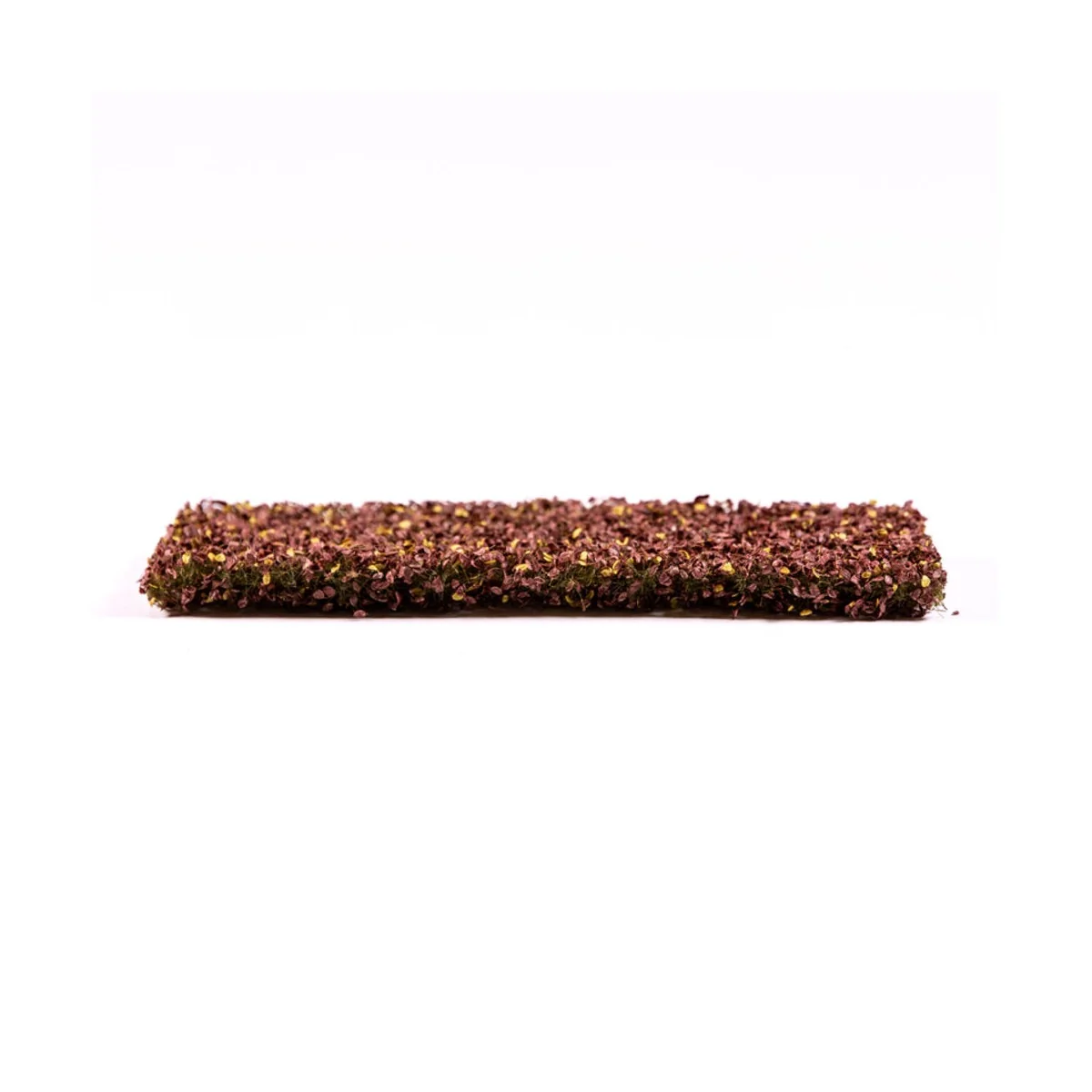 Beech Foliage Autumn - AK Interactive AK8141