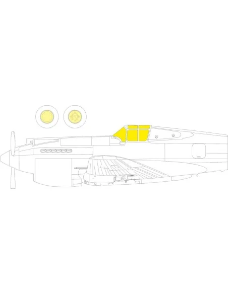 Hawk 81-A2 for GREAT WALL HOBBY, 1/32 - Eduard Accessories JX289