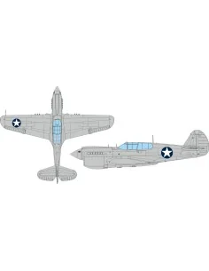 [NO_DESC] P-40E US national insignia circular EDUARD, 1/48 - Eduard...