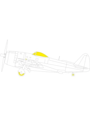 [NO_DESC] P-47D-30 TFace 1/48 MINIART, 1/48 - Eduard Accessories EX...