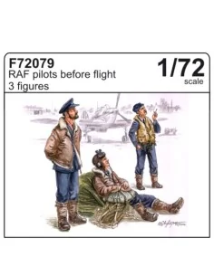 [NO_DESC] RAF Piloten, 1/72 - CMK 129-F72079
