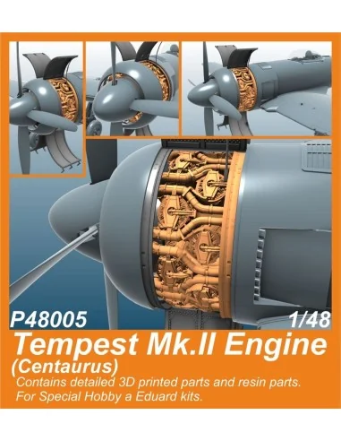 Tempest Mk.II Engine (Centaurus) for SH and Eduard kits, 1/48 - CMK...