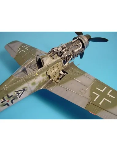 Focke-Wulf Fw 190D Waffenschacht, 1/32 - Aires 2025