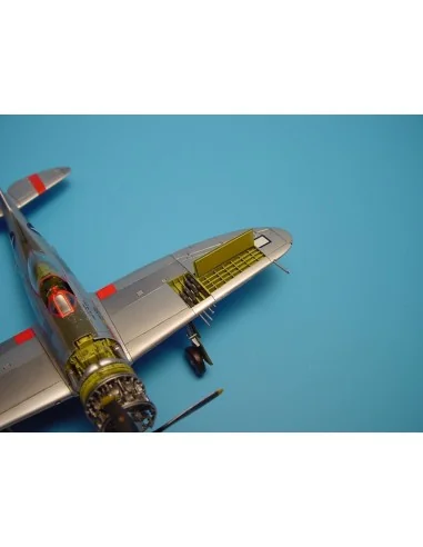 [NO_DESC] P-47D Thunderbolt Waffenschächte, 1/72 - Aires 7089