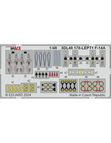 F-14A SPACE GREAT WALL HOBBY, 1/48 - Eduard Accessories 3DL48178