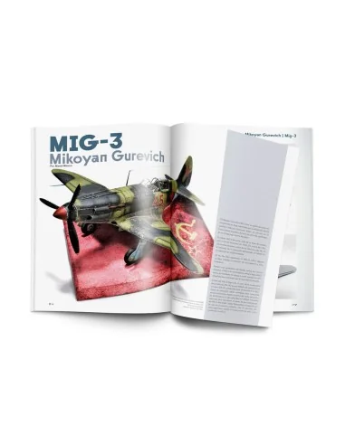 Weathering Effects on Aircraft Spanish - Vallejo 75057